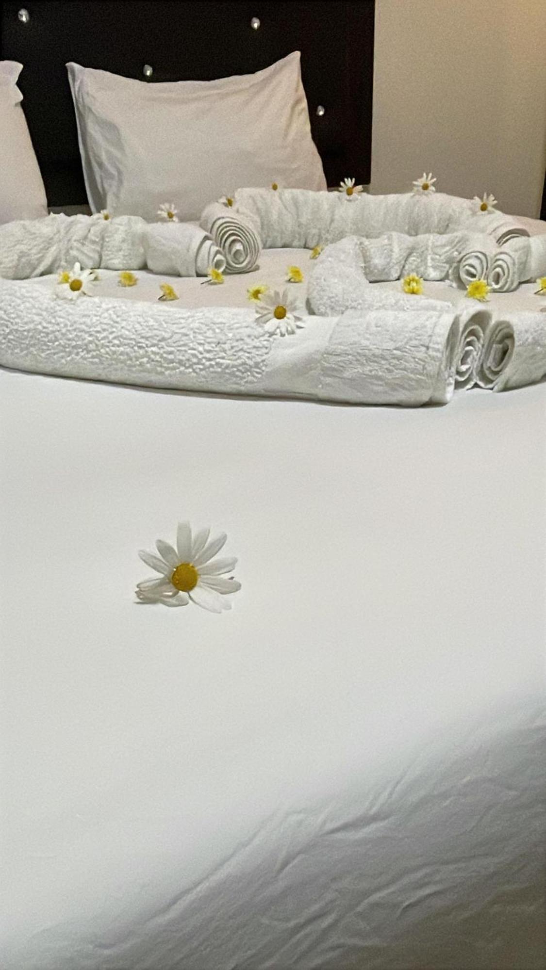 Plaza View Hostel Aţ Ţayyibah المظهر الخارجي الصورة